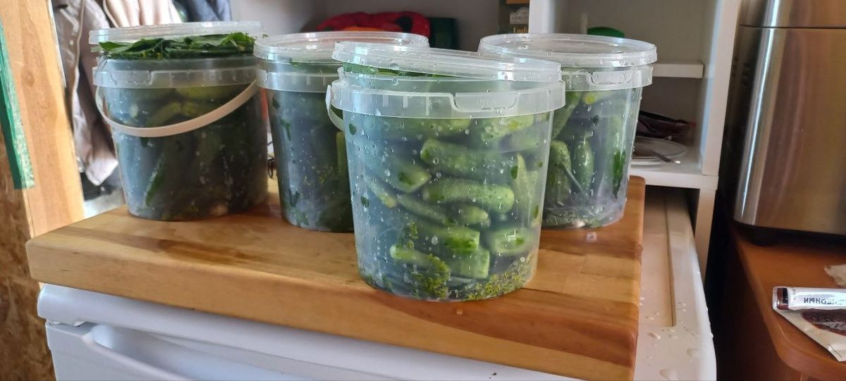 Зимние заготовки: с любовью к традициям