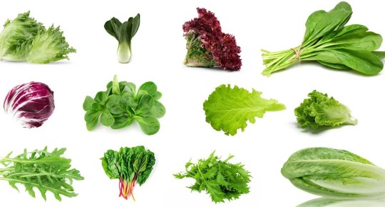 Зеленые салаты: разнообразие вкусов и полезных свойств