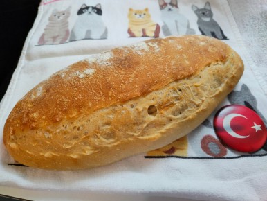 �������� ����: ������� ��������� �������