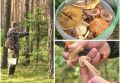 Тайны тихой охоты: в лес с грибниками Ярославской области
