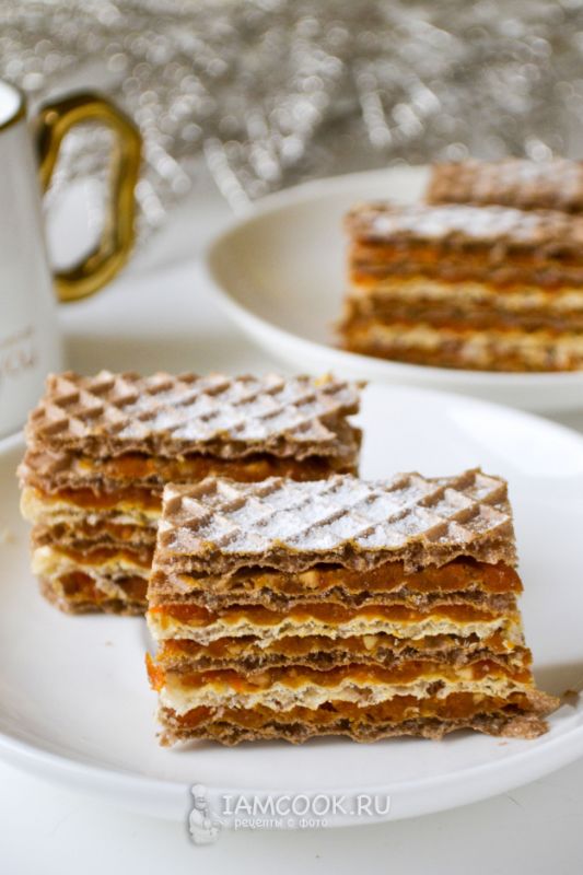 ���� �������: ������ �������� �� ������ ����