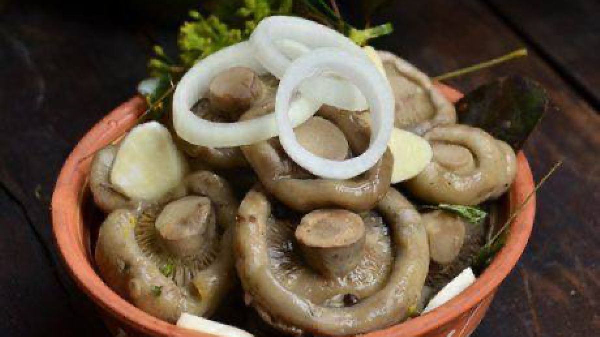 ���������� ������� ������� ����������: ��� ����������� �������� ��������