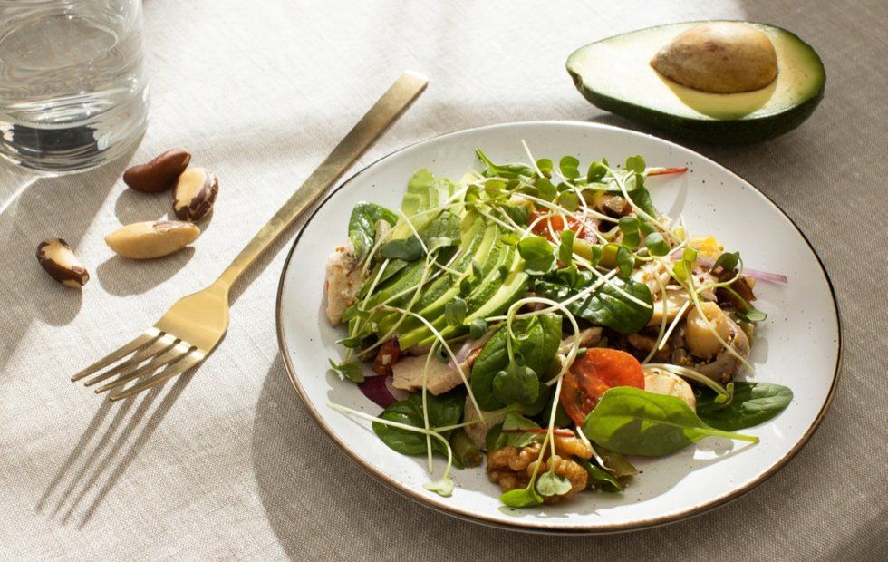 ������������ ��������� 16/8: ������, ���������� � ������