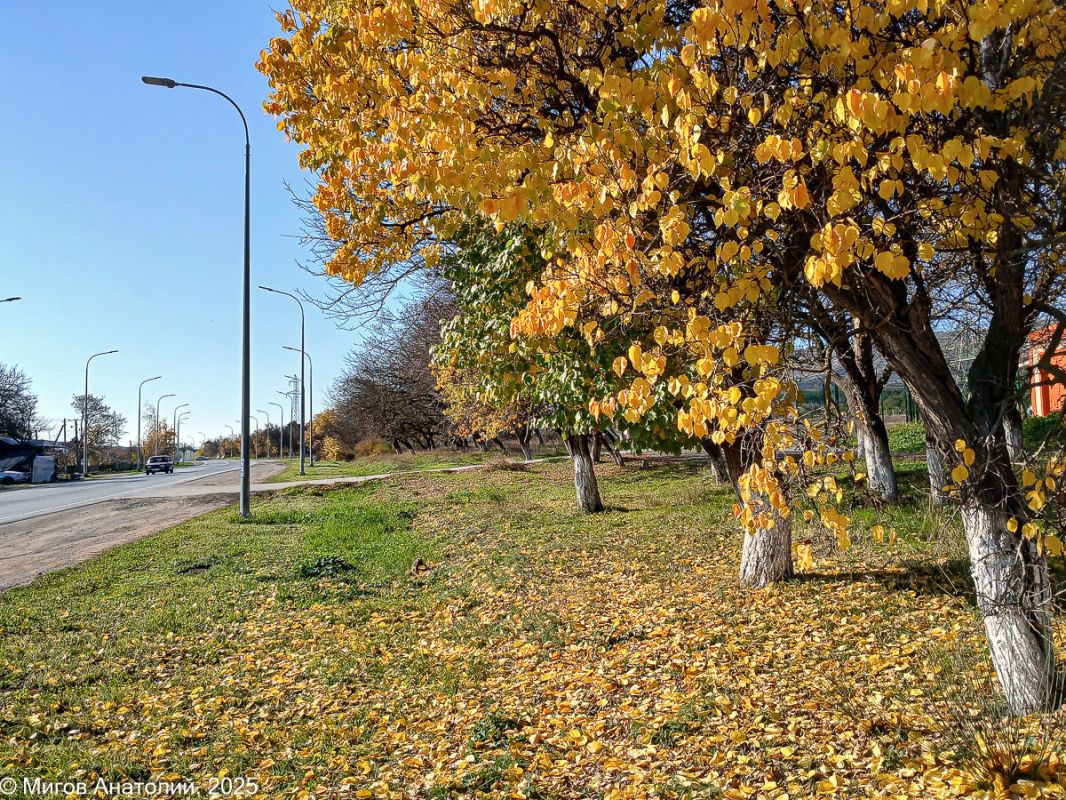 ������� �������� ������ � ������ �����