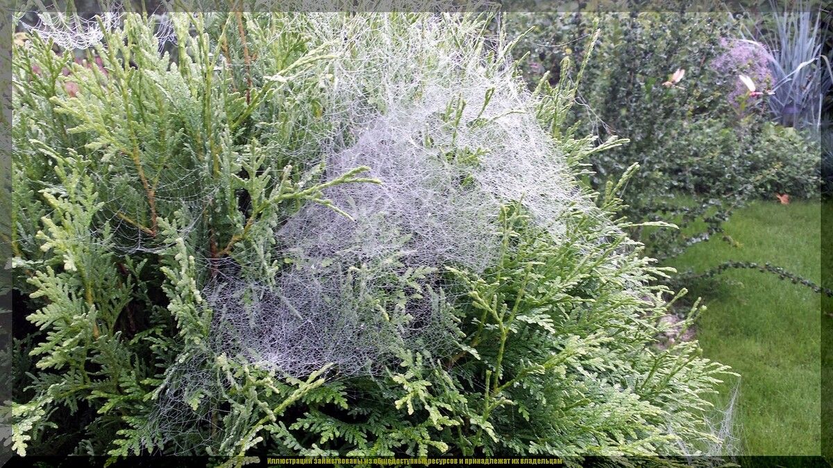 ������� ������ � ����: ��� �������� �������� ���� � �������