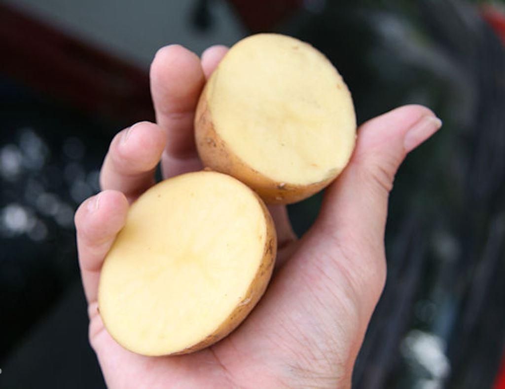 ���������� ������ ������� �������� ��������� �������