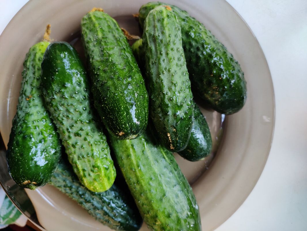 ��� �������� ������ ������ ������� � �������: ������ ������� ���������