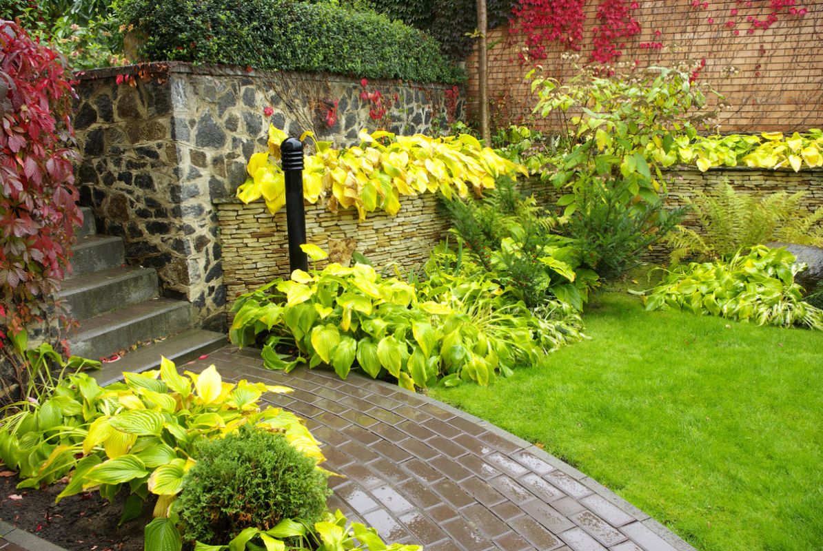 ��� ���������� ����� � �������� ���: ���� � ������ �� ������������