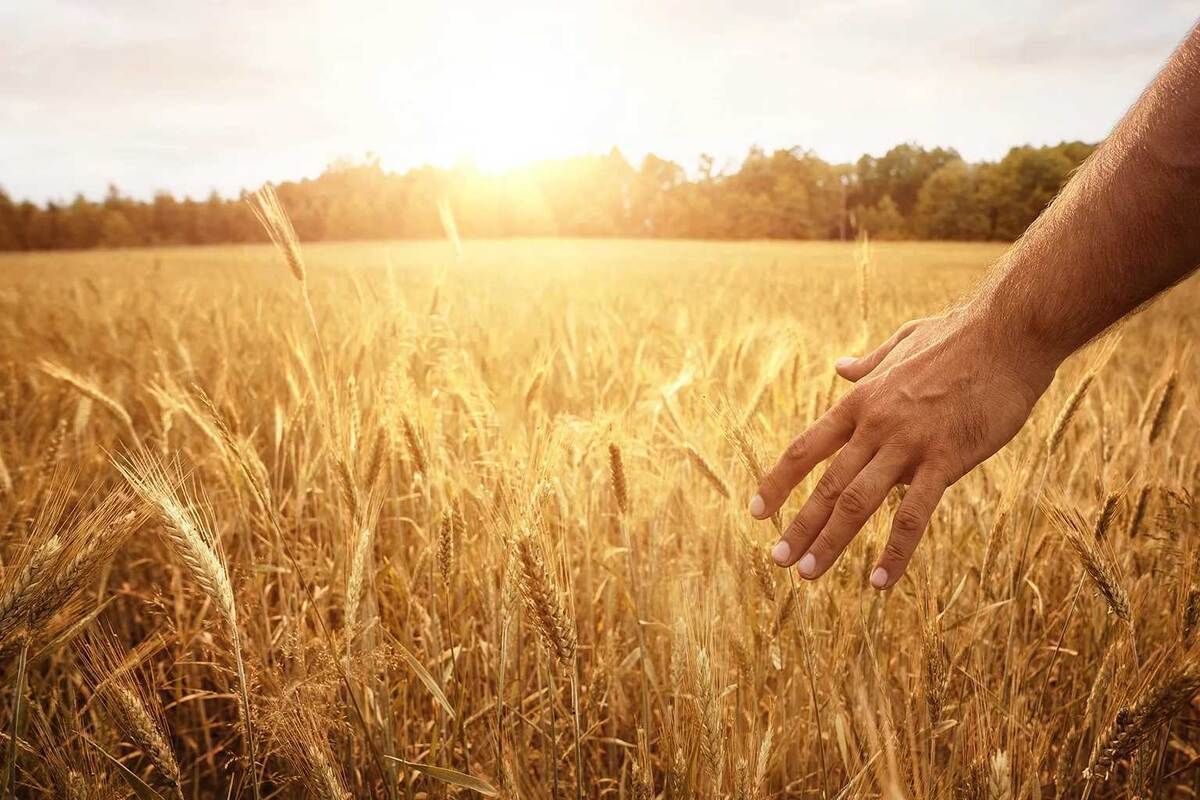 ���������� � ������: ��� ����������������� ��������� ���� � ������