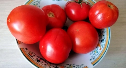 ��������� ������ ��������: ��� ���������� �� ���������