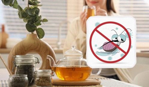 Простые способы избавиться от насекомых: отпугиваем с помощью эвкалипта