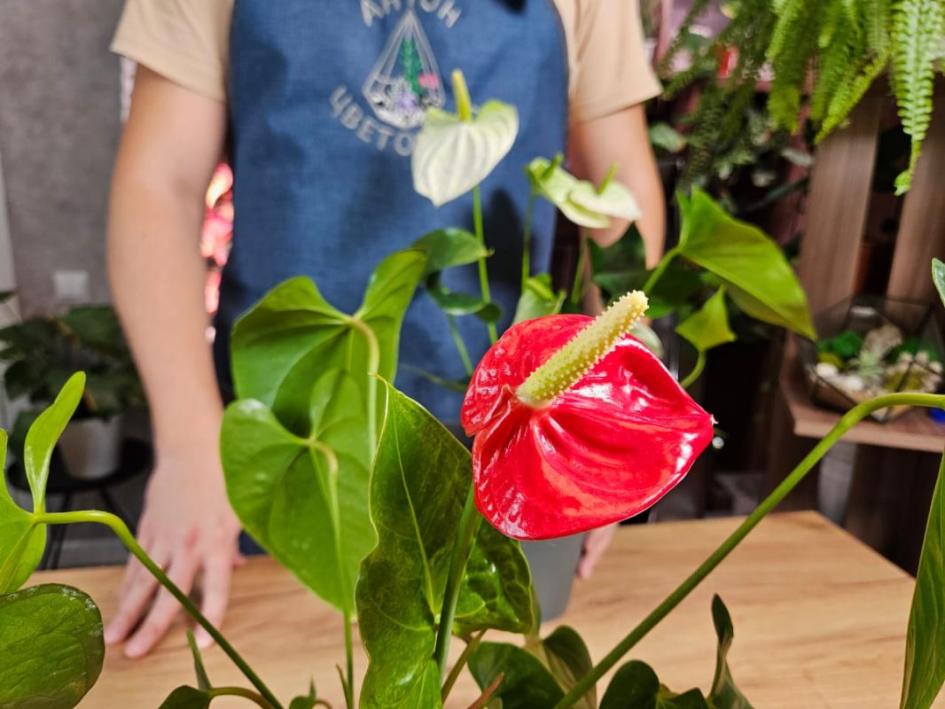 ��� ������� �������� ���������: ������� ��������� �����