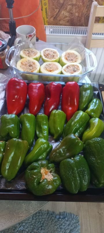 ����������� �� ����: ��� ������������� � ������� � ����