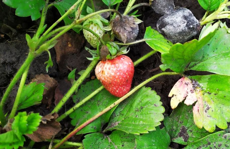 ����� ����� �� ��������: ������� ���� � ����� ����