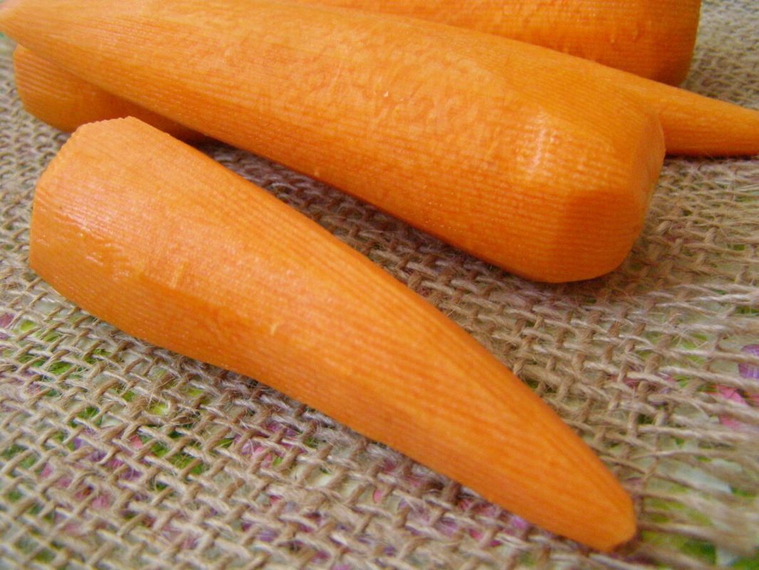 ��� ����������� ����������� ���� �� ����: ��������� ������ � ���������