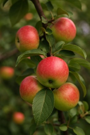 ������� ����� ������ ��� ����: �������� ������