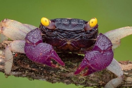 ������������ ���� � ���������� ������