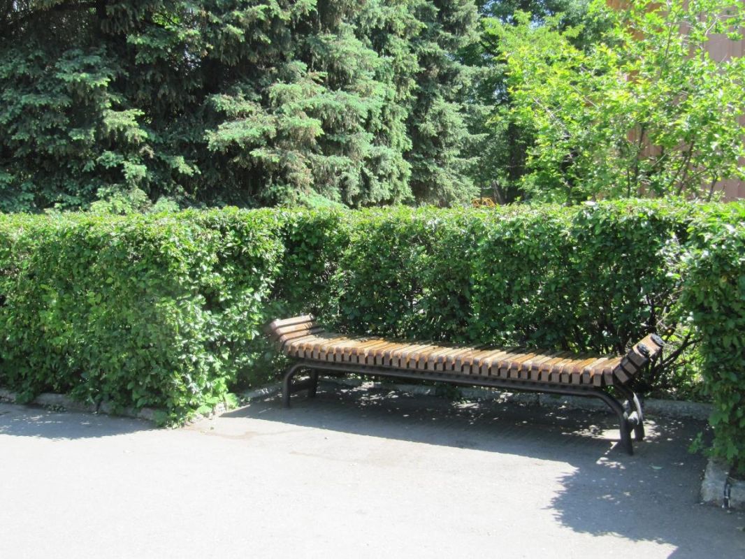 �������� ������� ���: �������� ��� ������������ �����