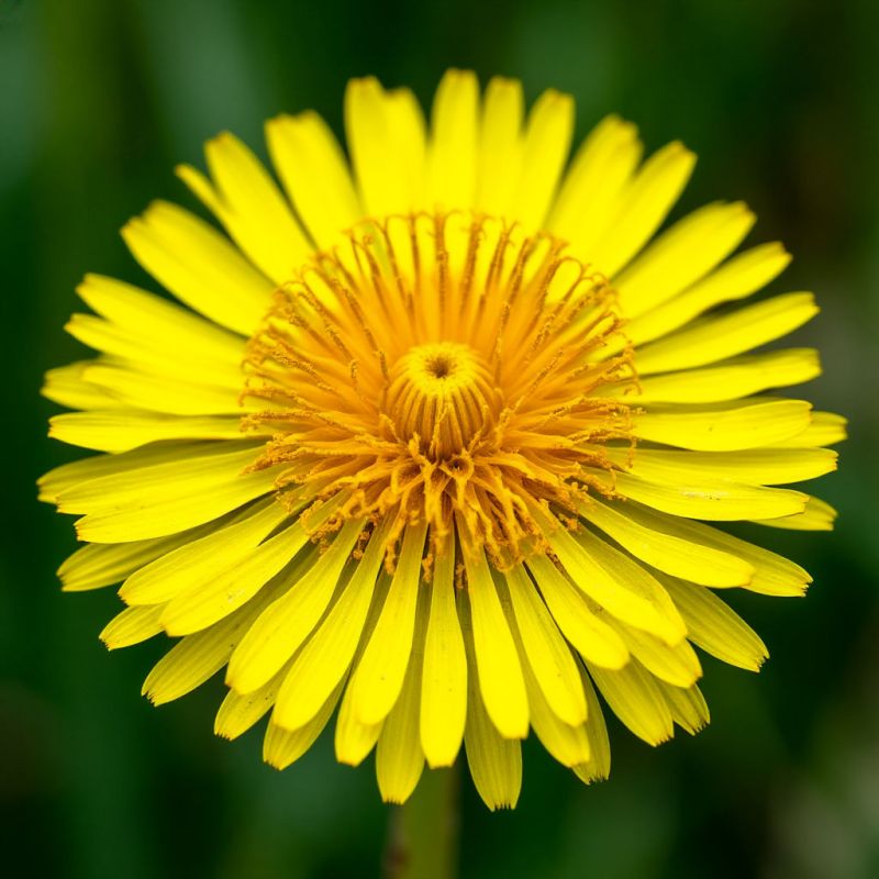 ��� ������� ������ ��������: ����������� ������ ������ � ������������