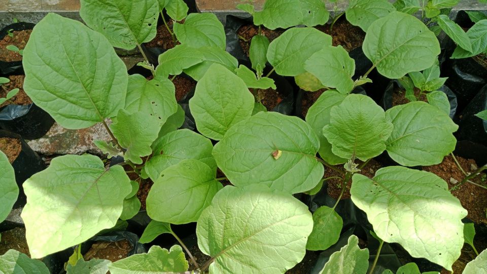 ����� ������ ��������� � 2025 ���� �� ������� ���������