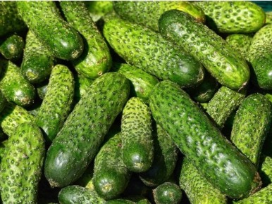 Как подготовить идеальные хрустящие огурцы на зиму: секреты и оригинальный рецепт пикулей