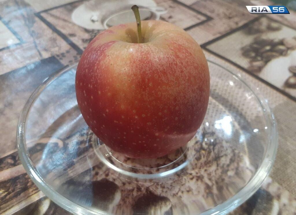 ������������� ������������ ����: ��� ��������� �������� ��������