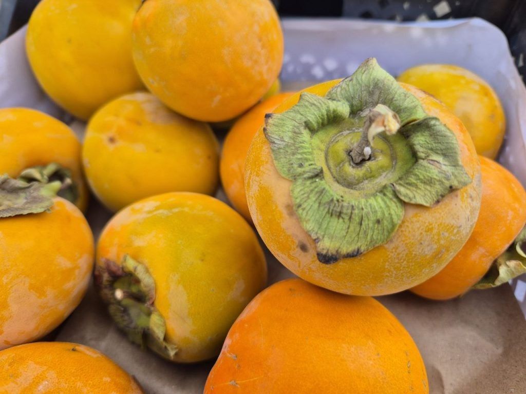 ���������� �������� �����: �������� ���� ���������� ����� �� �����������