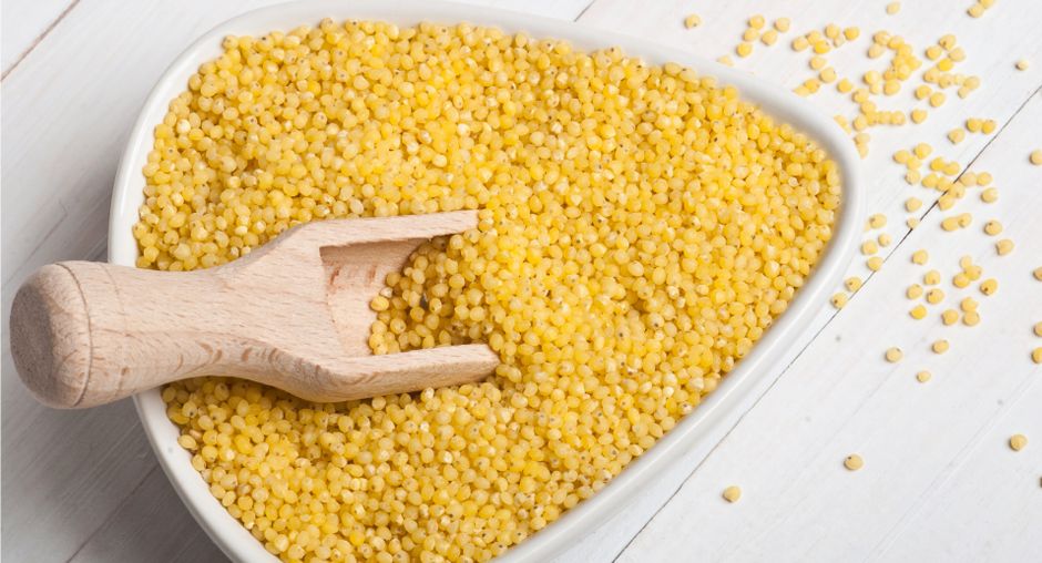 �����: ������� �������� � �������� �� ��������� ����������������� ���������