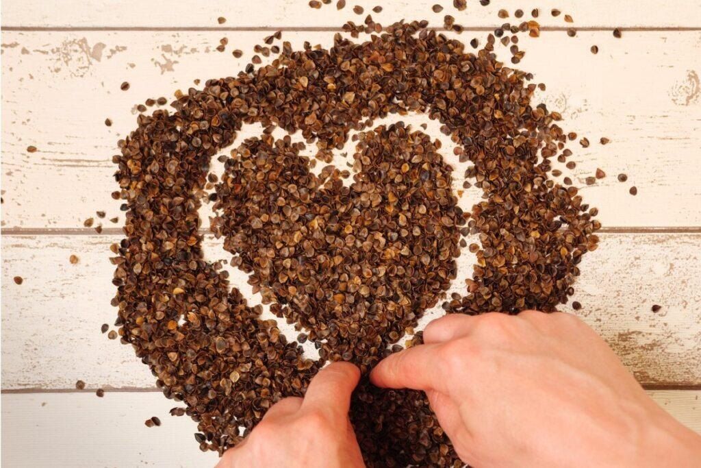 ��� ������� �������� ��� ������� ������� �������: ���� ������� ���������