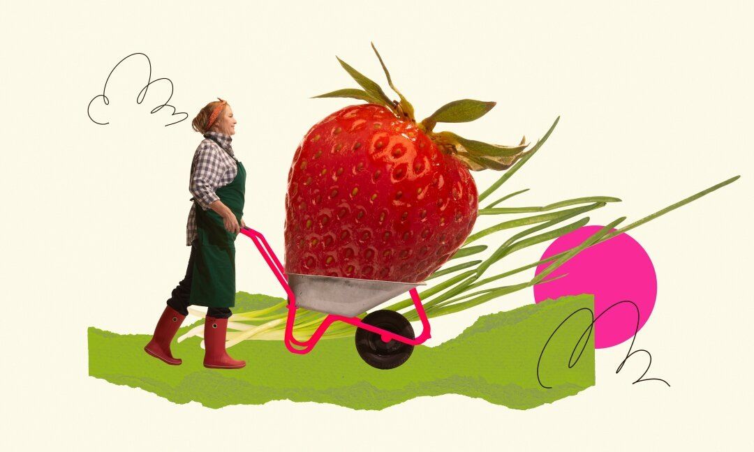 ����������� �������: ��� ��������� ���� ������� � ���������� � �����