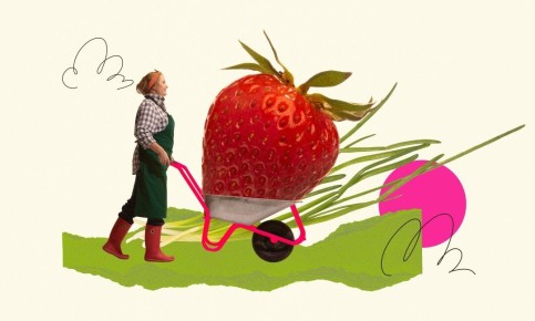 ����������� �������: ��� ��������� ���� ������� � ���������� � �����