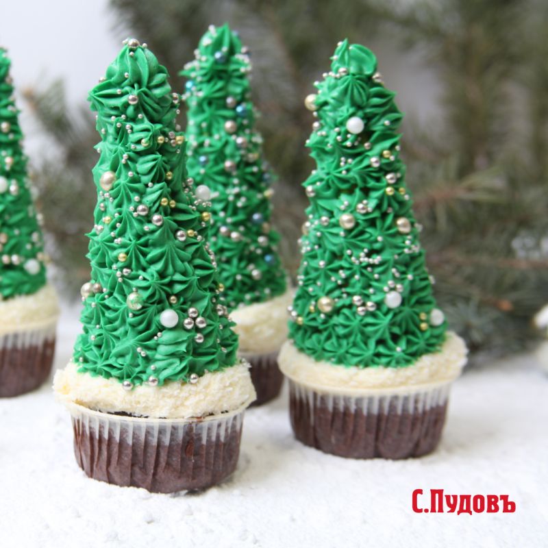 ����������� ������� � ����� ����: ����, ������� �����������