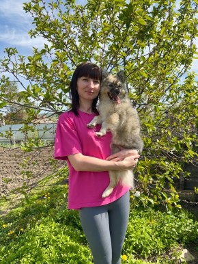 ������� �������� � ������: ������� ������� ��� ���� �����