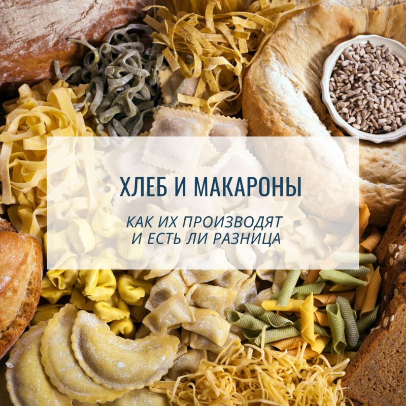 ���� � ��������: ������ � �������� �������