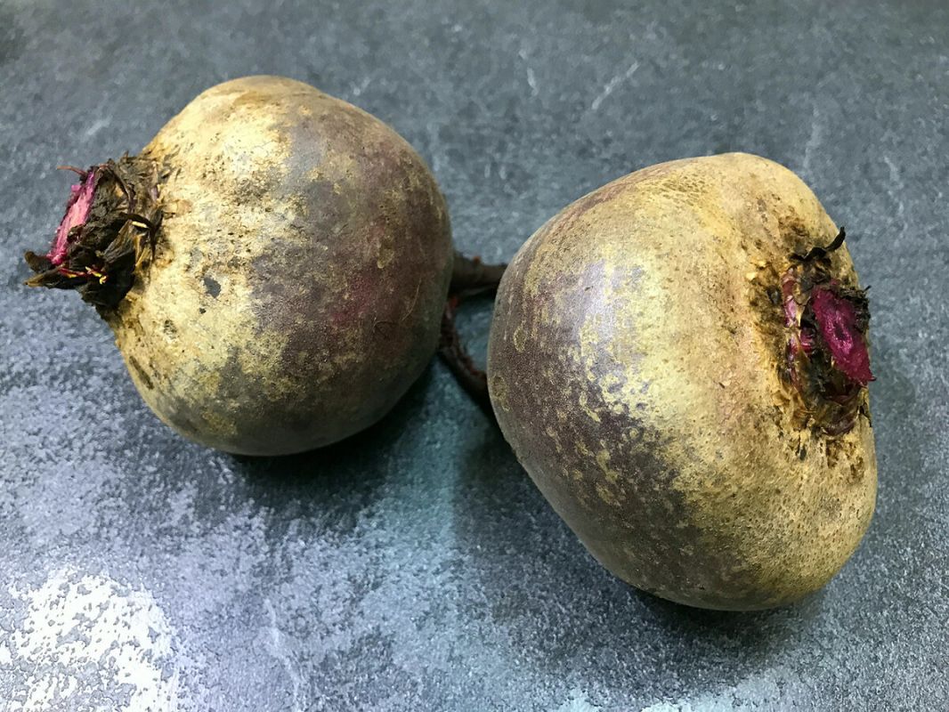 ����� ������ ��������� ������: �������� � ���������� � ����� �������