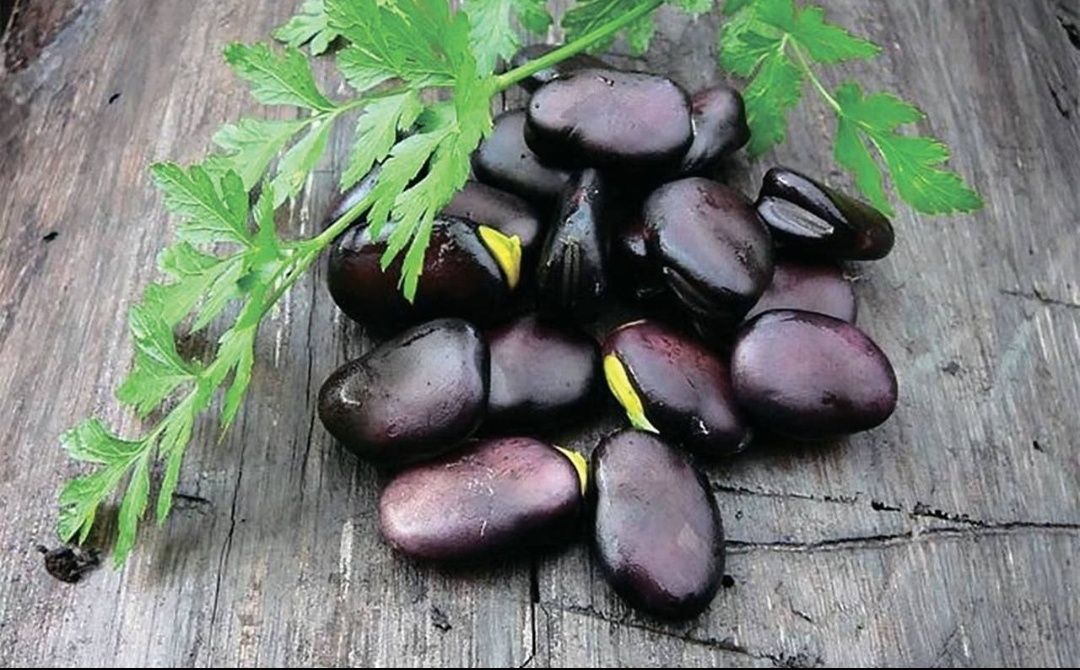 ���������� ���� �����: ������� ������ ���� � ��������� � ���������