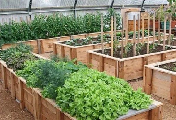 ������ ������: ��� ��������� ����� ������������ � ����� ������