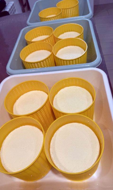 ��� �������� ����� ����������� ���?