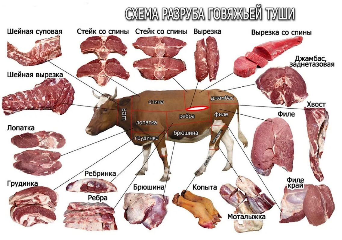 ��� ������� ���������� ����� �������� ��� ������ �����