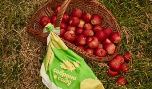 ���� ������: �������� ����� � ��������, ������� �����������