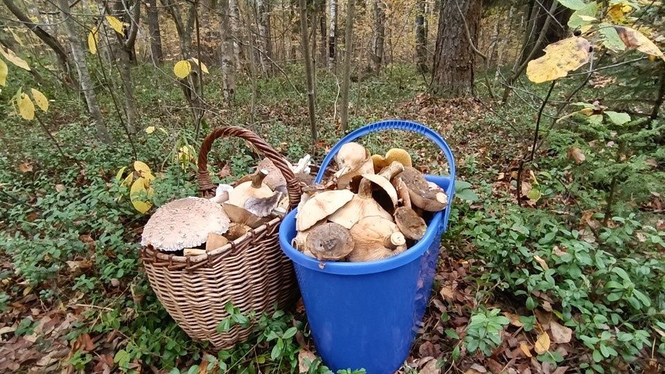 ������ ����� ����� ���� ������ ��� ��������: ������ ���������