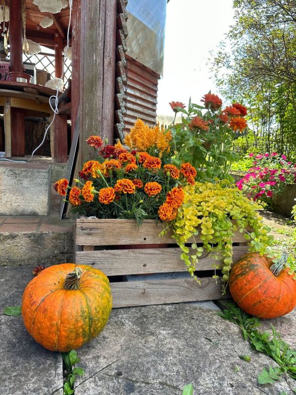 ��������� �����������: ������������ ������� �� �������� �����