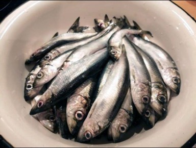 ������ ��������� � ����������: ������� � ������������� ����������� �����