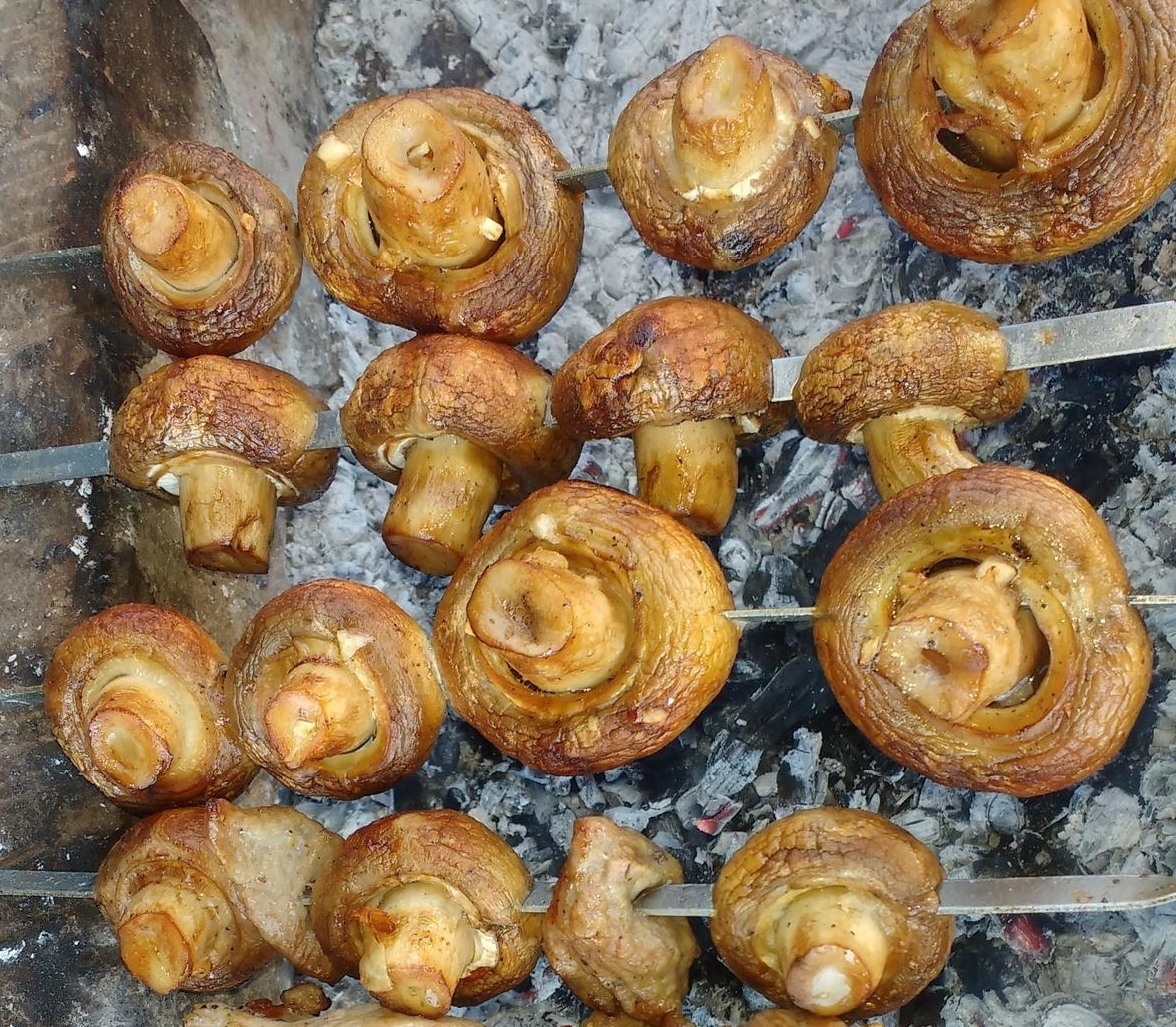 Сочные шампиньоны на мангале: идеальный гарнир для мяса