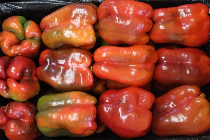 Перец Телестар: секреты успешного выращивания крупноплодного гибрида