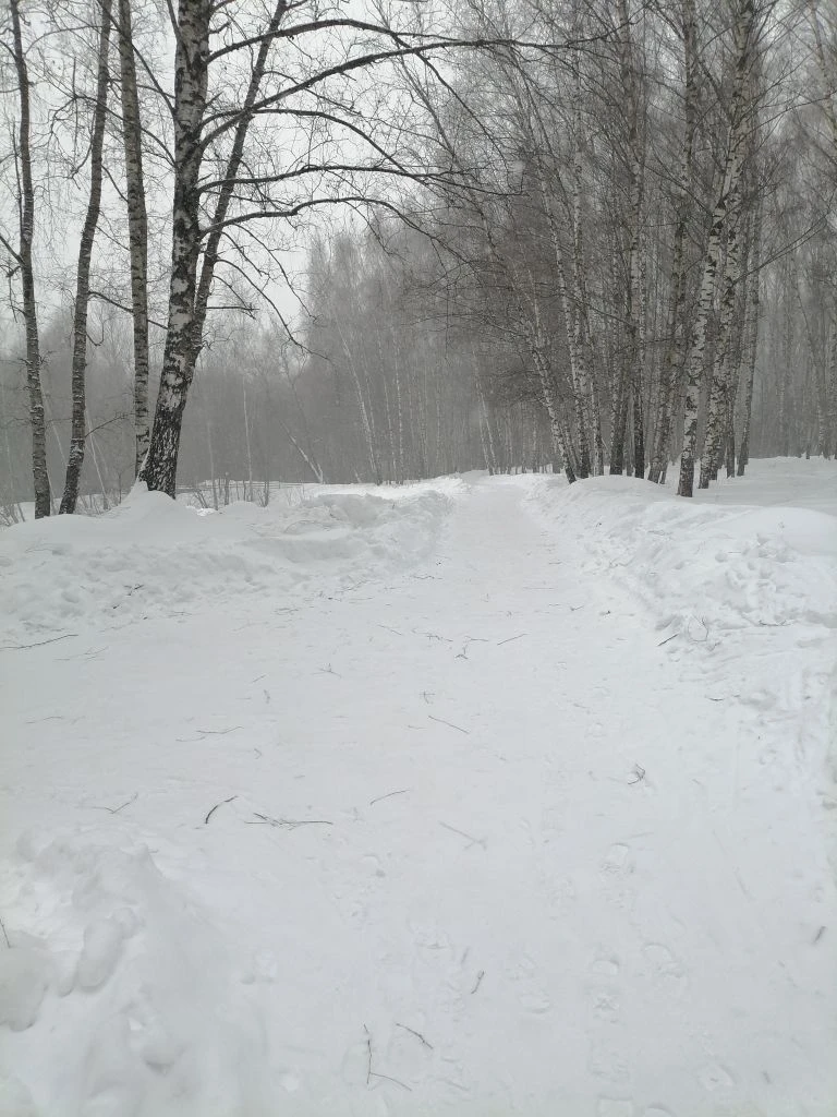 Новый старт: как бороться с соблазнами в кулинарном мире