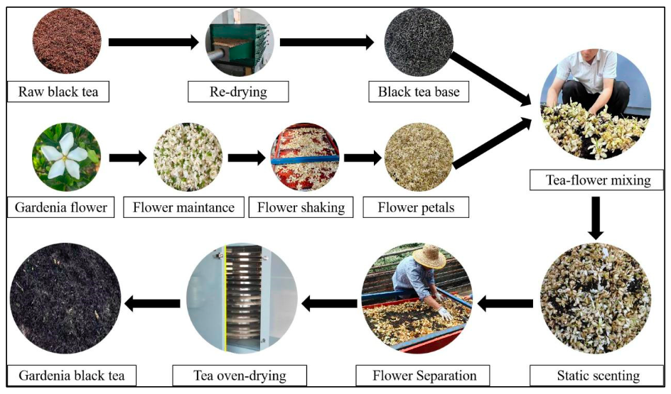 Черный чай с гарденией: новое дыхание классического напитка