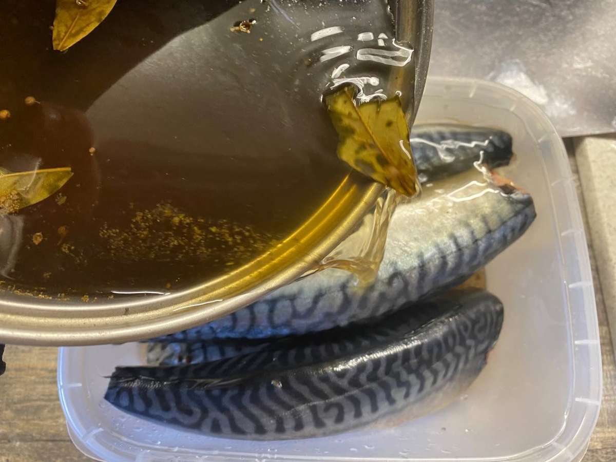 Ошибки при засолке скумбрии: как избежать разочарования