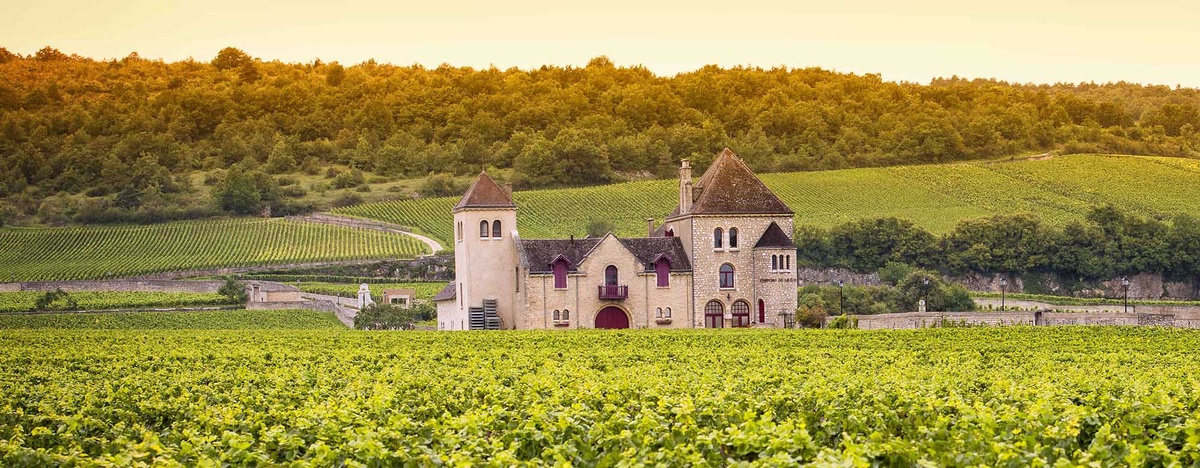 Бордо: винная столица с богатой историей