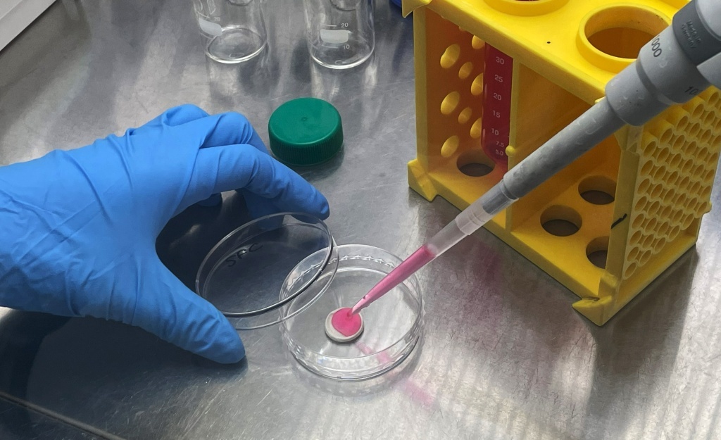 Завтрак будущего: как технологии меняют наше представление о еде